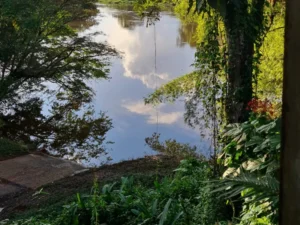 Cacao en pirogue - 16 août