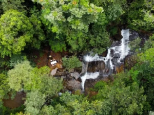 Fourgassier : avanture guyane