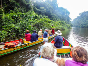 Cacao en pirogue - 12 Août