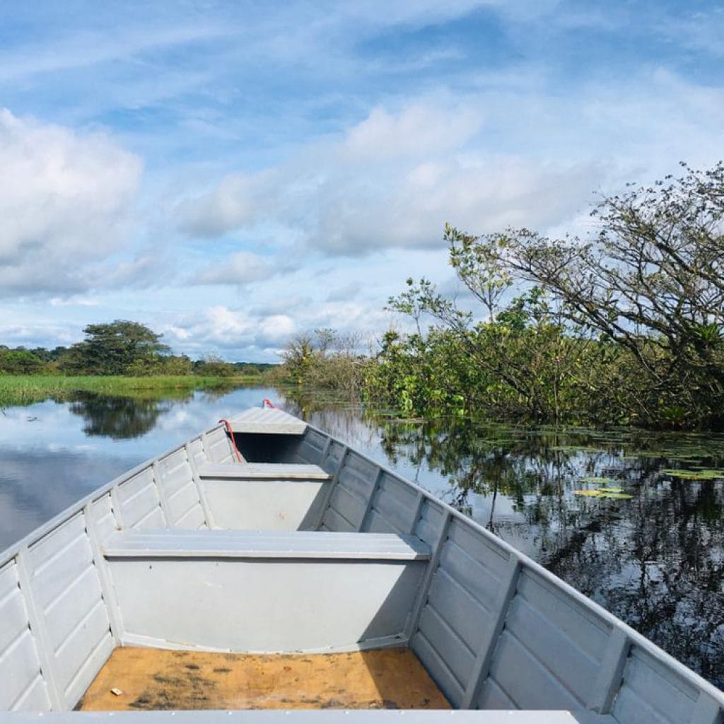 Excursion Crique Gabriel en pirogue – Image 2