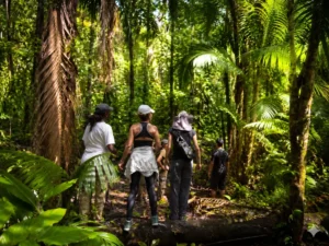 L'essence de la Guyane